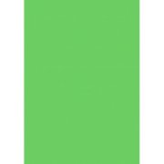 Farebný výkres Herlitz 50 x 70 cm, 10 hárkov, 300 g, svetlozelený