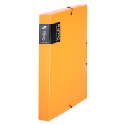 Plastový box s gumičkou Karton PP Opaline oranžový